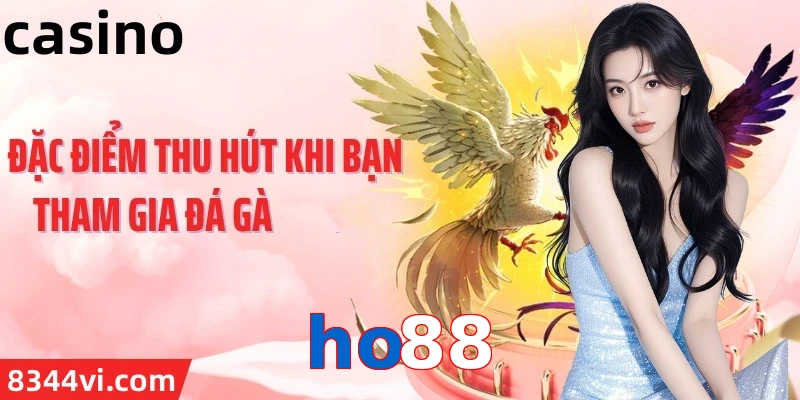 ho88